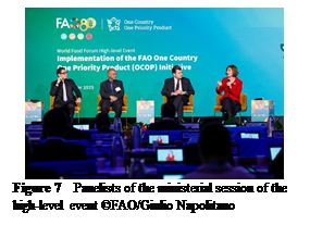 ??????:  
Figure 7  Panelists of the ministerial session of the high-level event &copy;FAO/Giulio Napolitano
